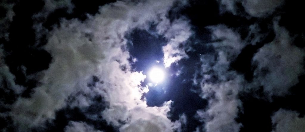 nicoの星宙予報2020 双子座