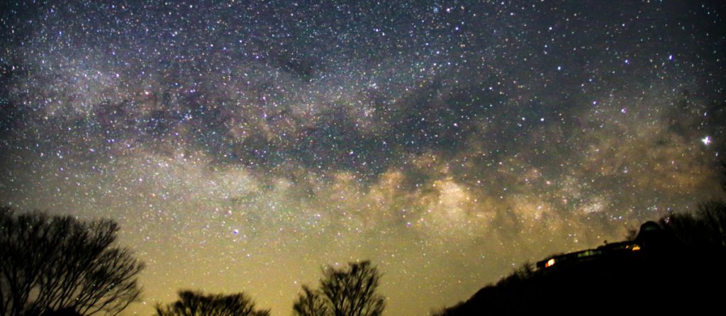 nicoの星宙予報2020 魚座